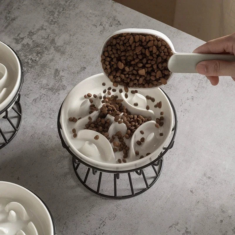 Kibble poured into a white ceramic slow feeder bowl