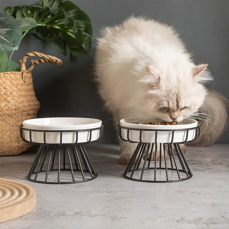 Cat eating from an elevated ceramic slow feeder bowl by Aria